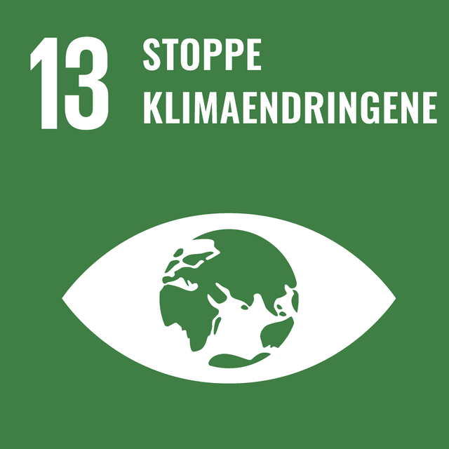 Mål 13: Stoppe klimaendringene