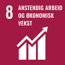 Mål 8: Anstendig arbeid og økonomisk vekst
